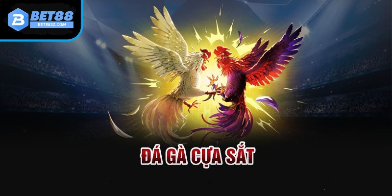 Đá gà cựa sắt trực tiếp BET88